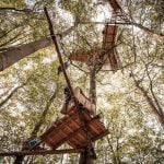 Hambacher Forst Baumhäuser